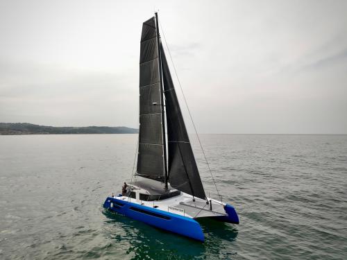 Swiss cat 55'