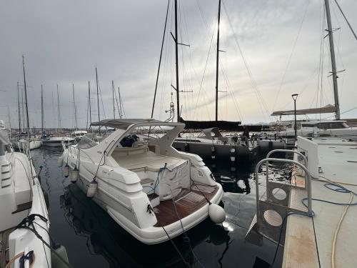 Sessa sessa marine oyster 42