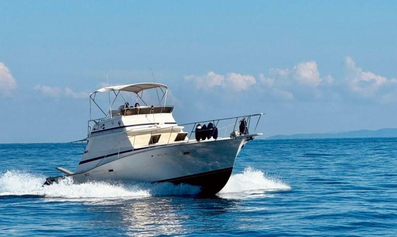 viking marin Viking 40