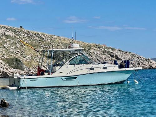 Pursuit 3100 offshore