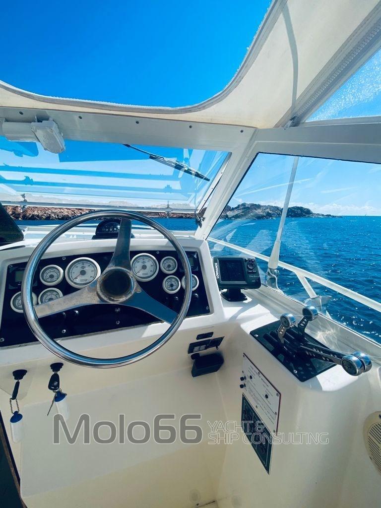 bertram yacht 28' moppie