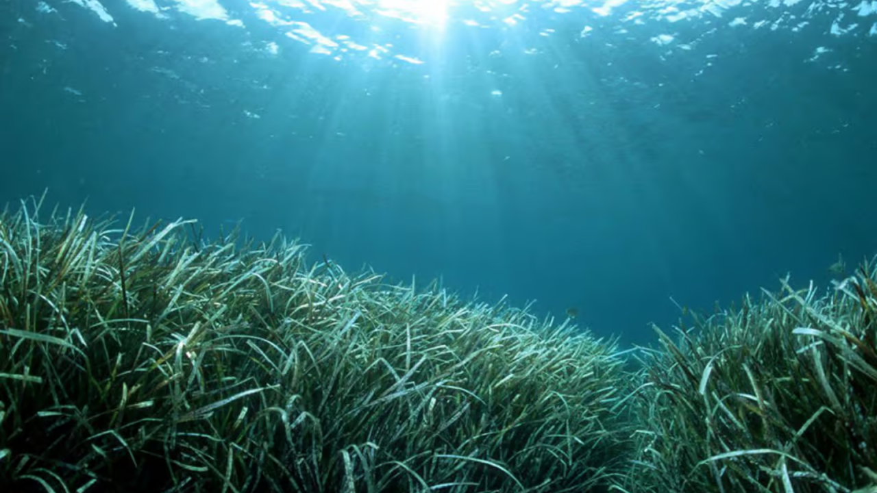Sustainable boating at sea