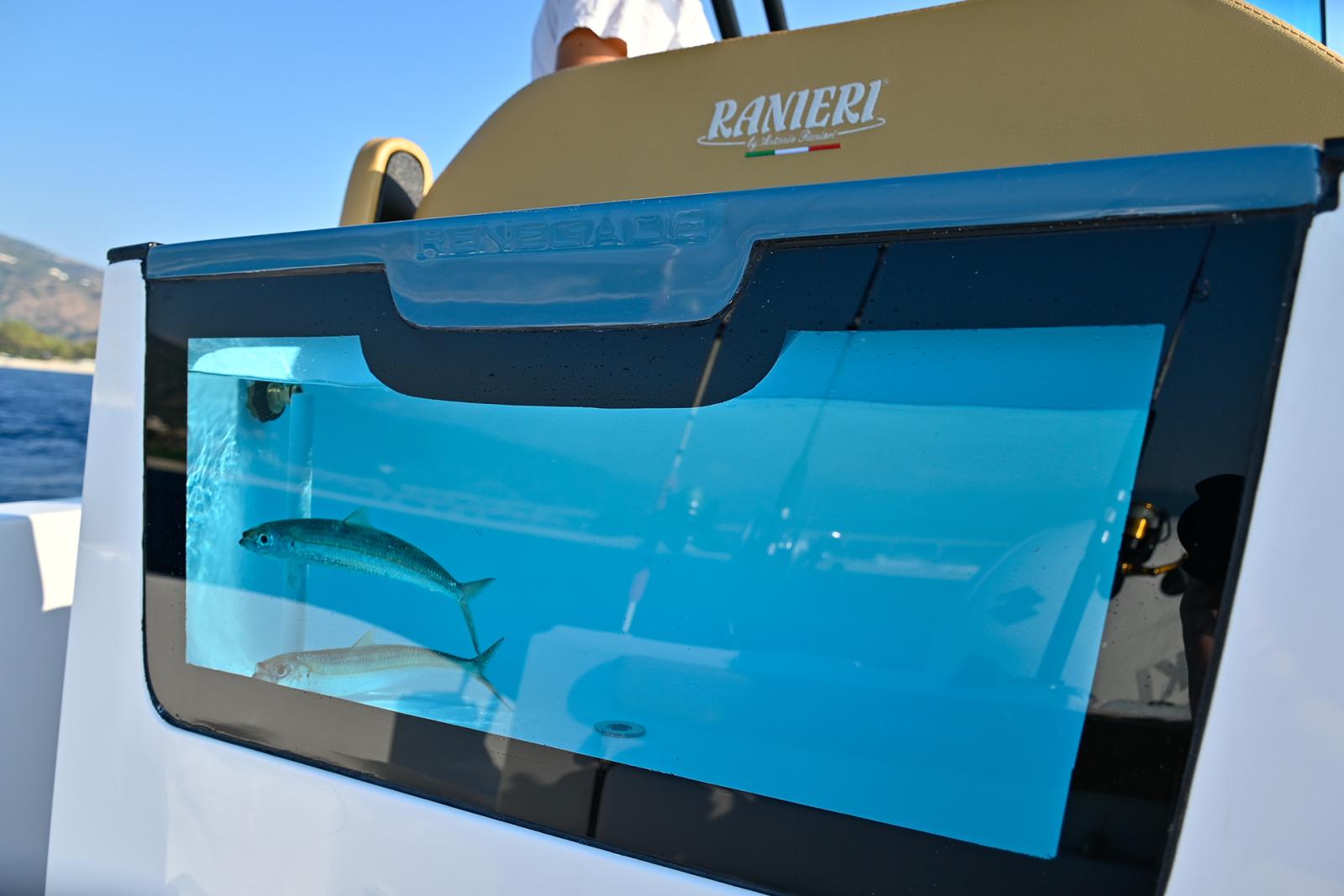 ranieri Renegade 22