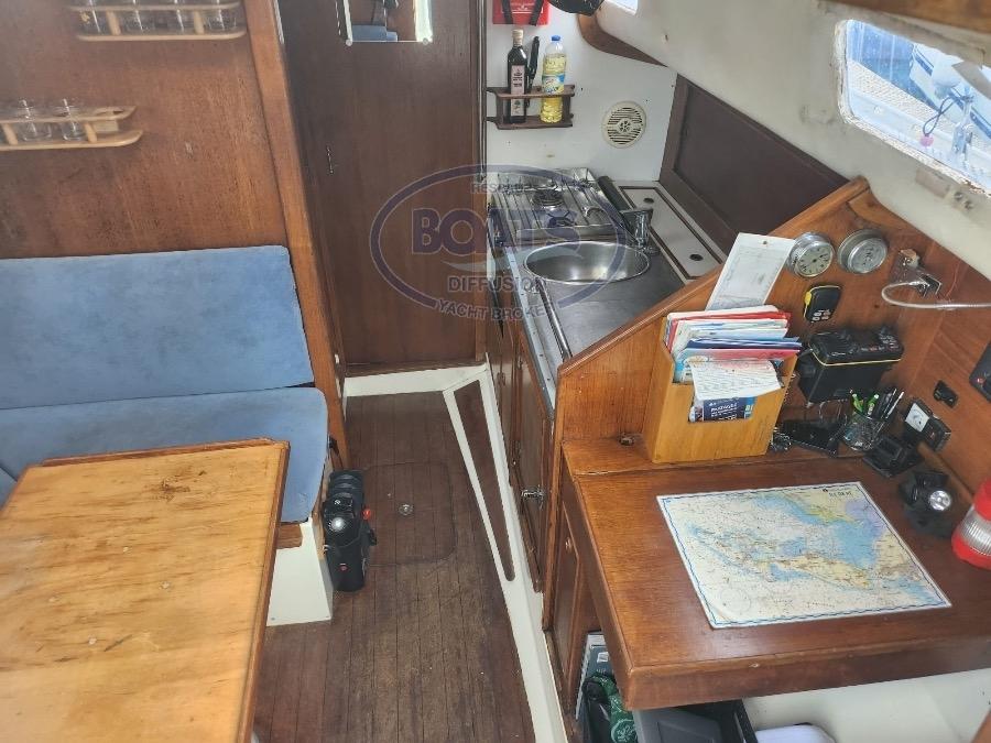 trident marine Warrior 35