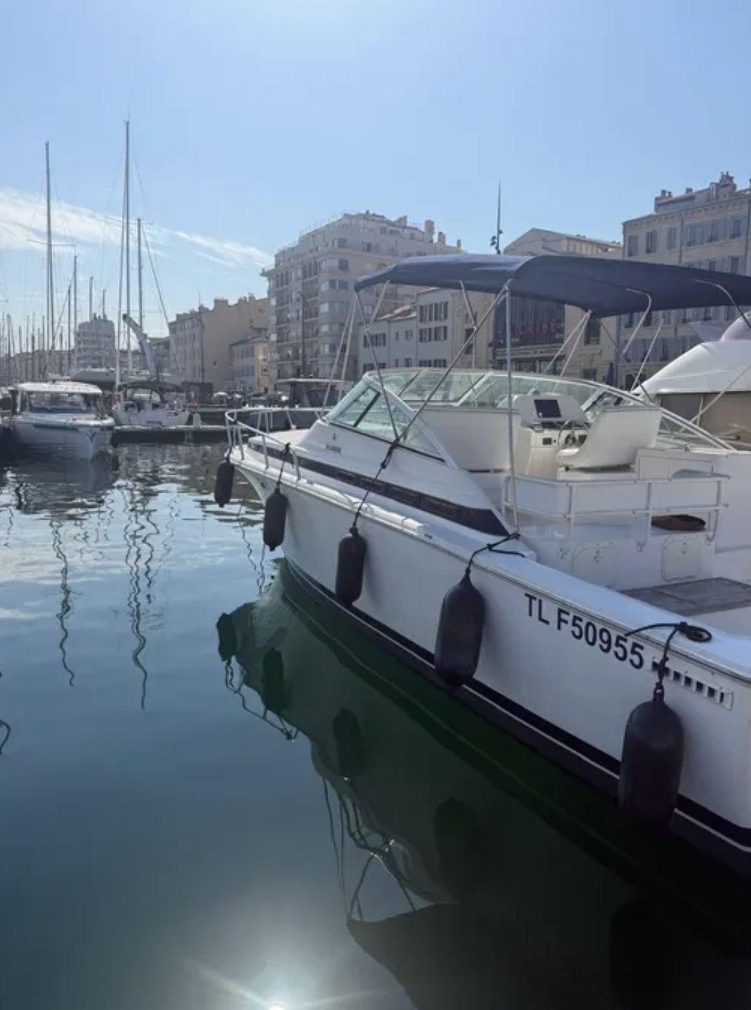 bertram 36 moppie