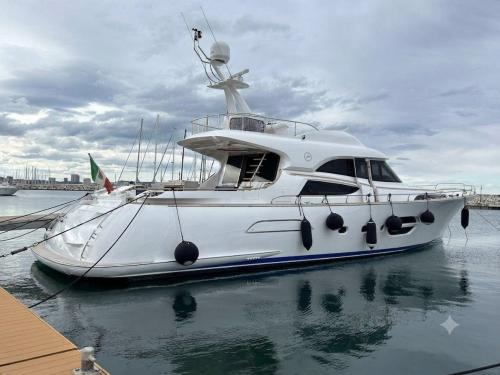 Mochi craft 74 dolphin