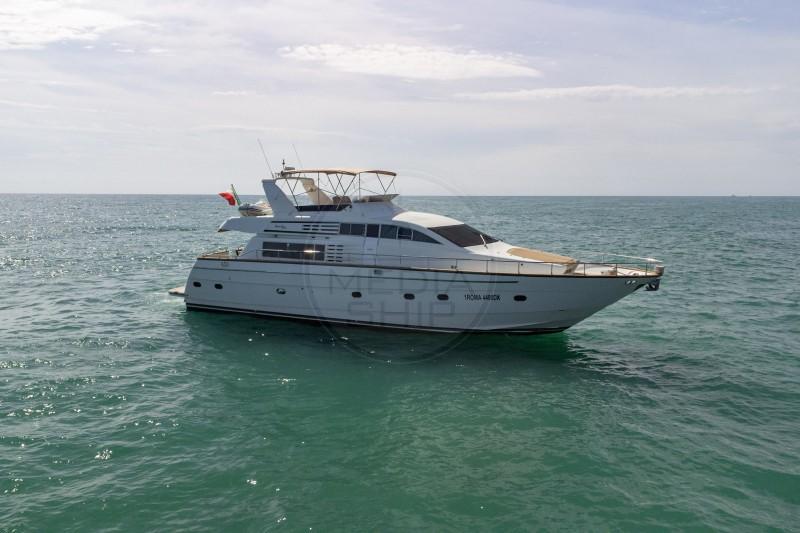 mochi craft Mochi 20 forte