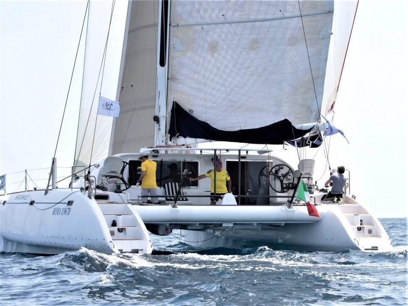 latini Cat 43