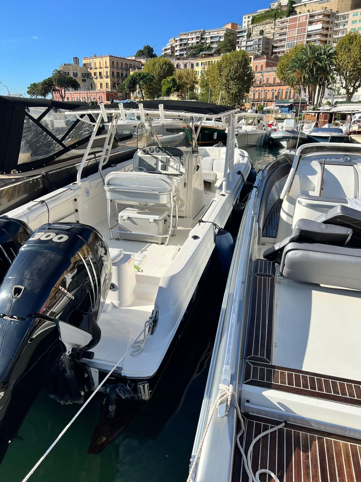 wellcraft Scarab 35 tournament