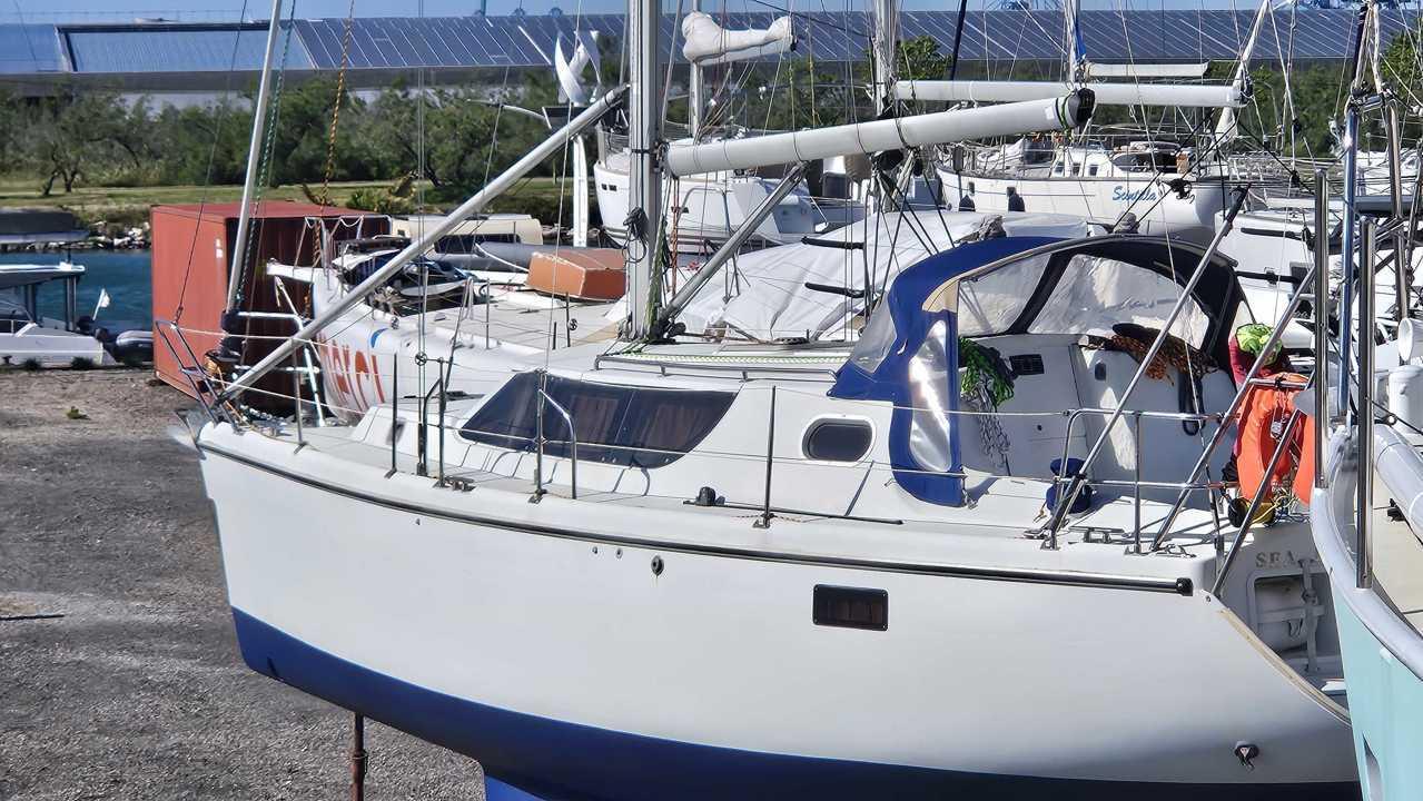wrighton Bi loup 36