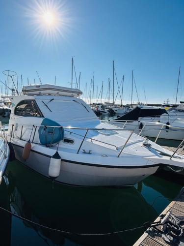 Plastik space 290 cruiser