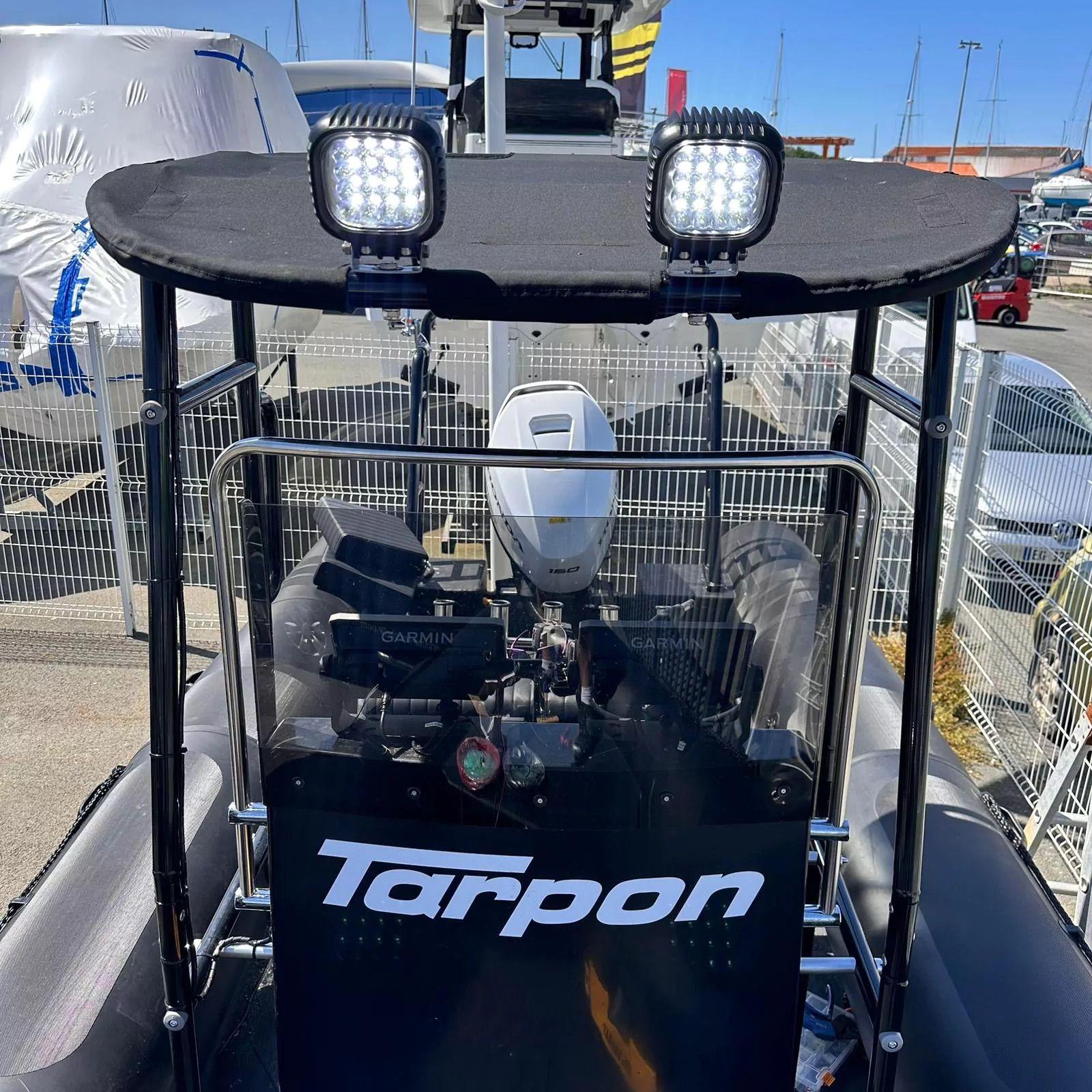 tarpon Tarpon dv65