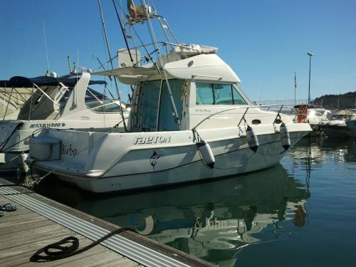 Faeton 980 moraga fly