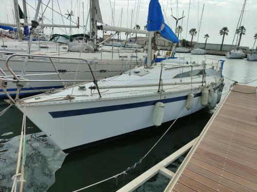 Jouet jouet920