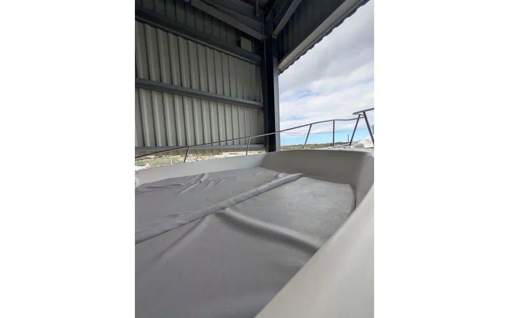 white shark White shark 225