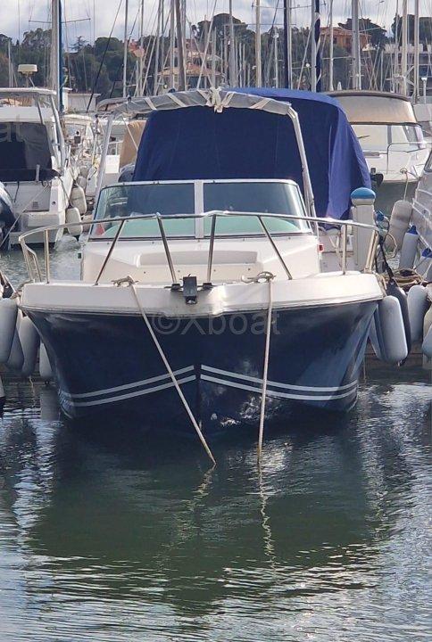 kelt White shark 237