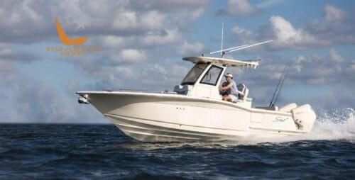 scout boats 260 lxf