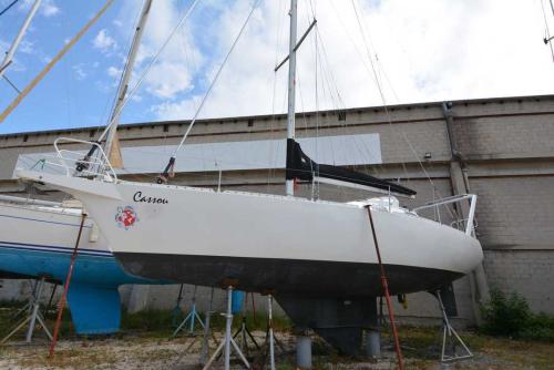  morning glory 36