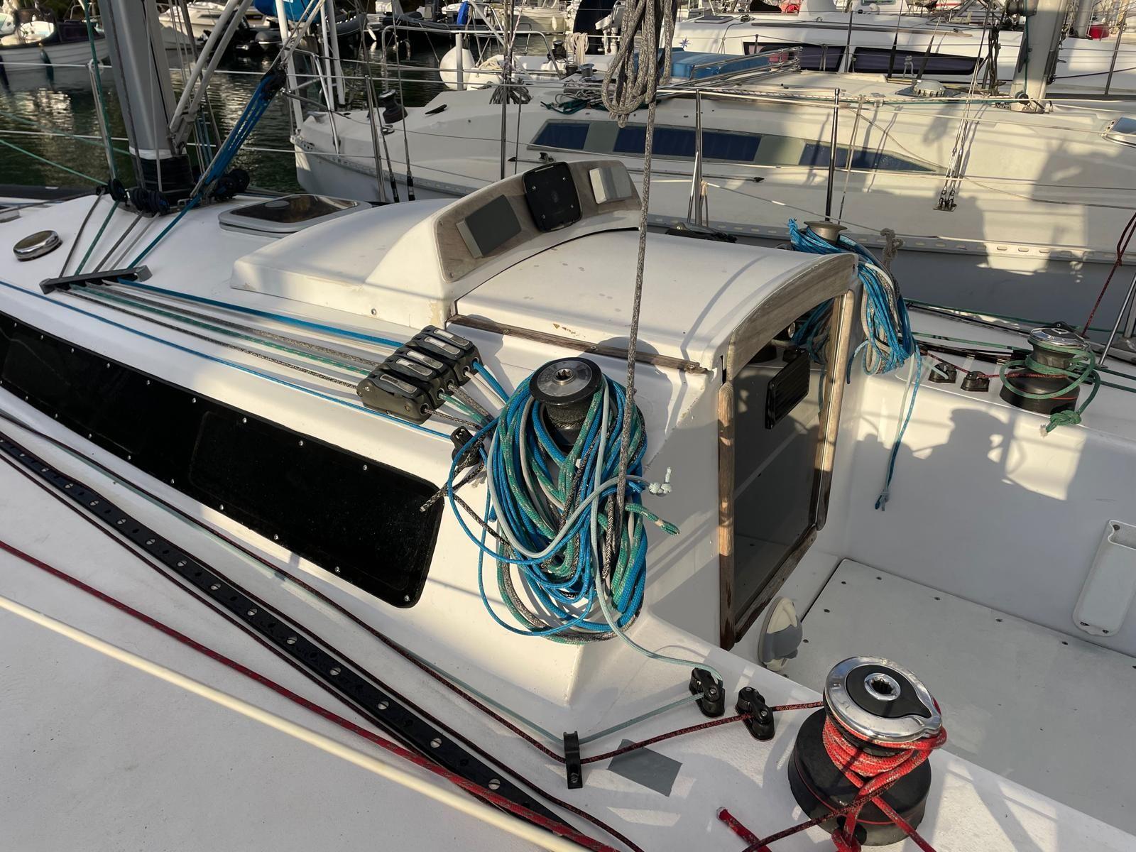 golden shamrock Golden shamrock