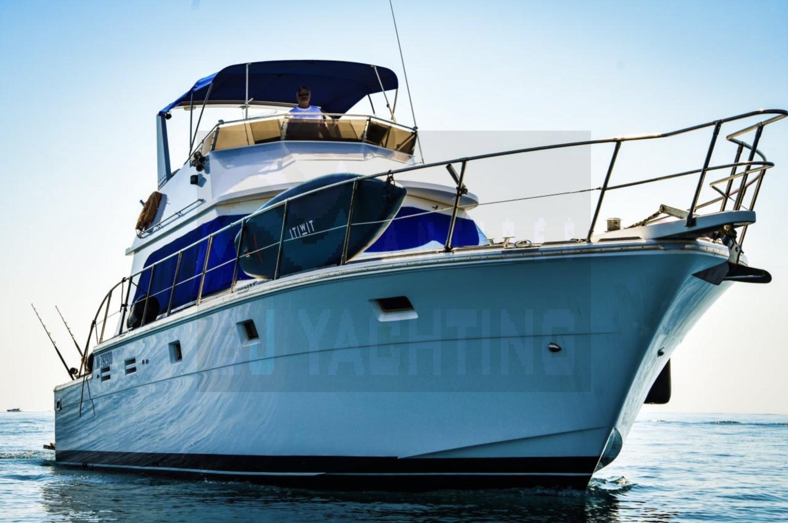 hi star marine 48 fisherman