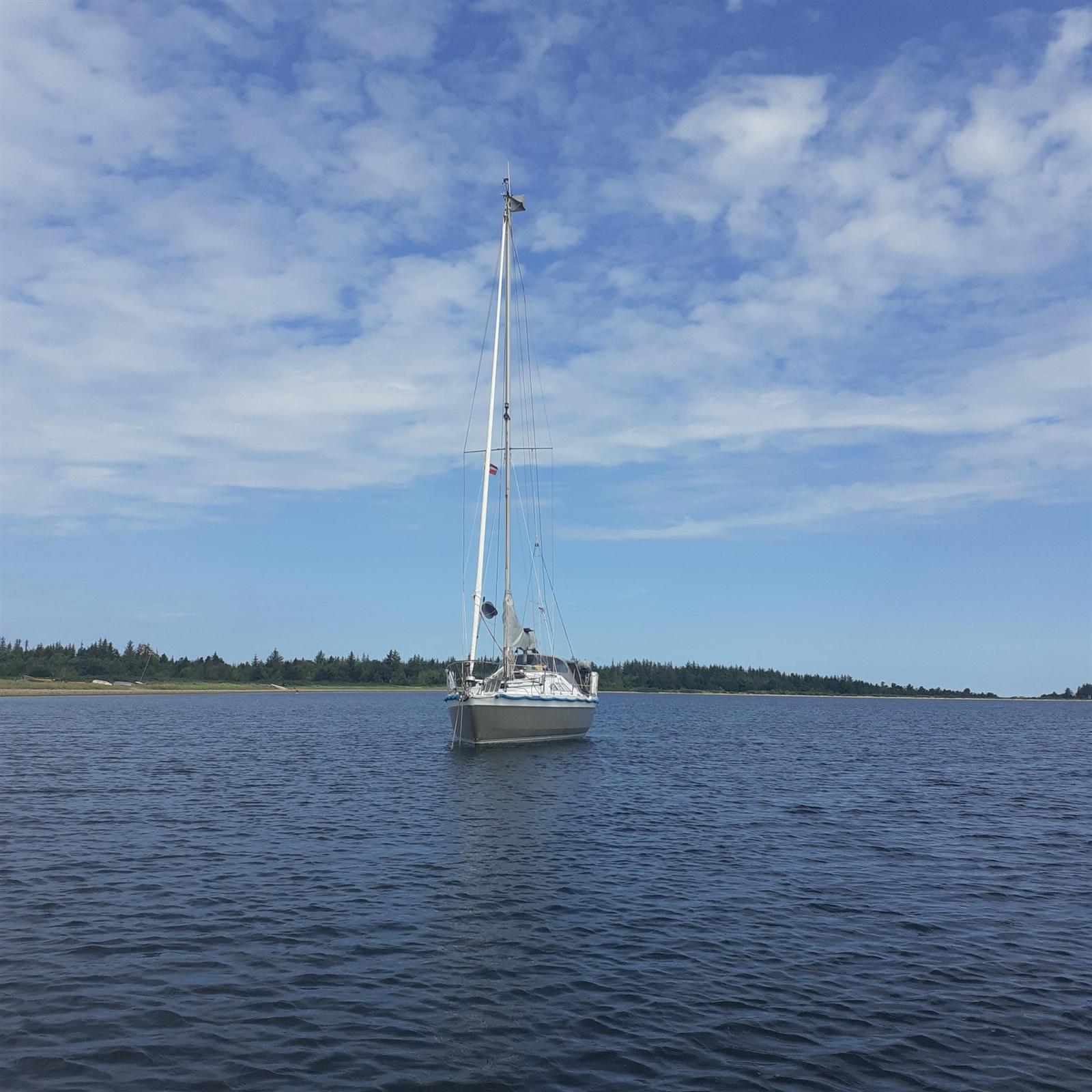 alubat Ovni 30