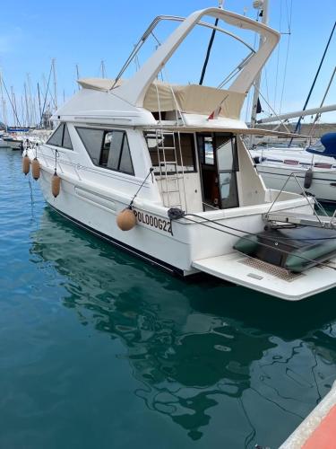 Bayliner 3988 eh motoryacht