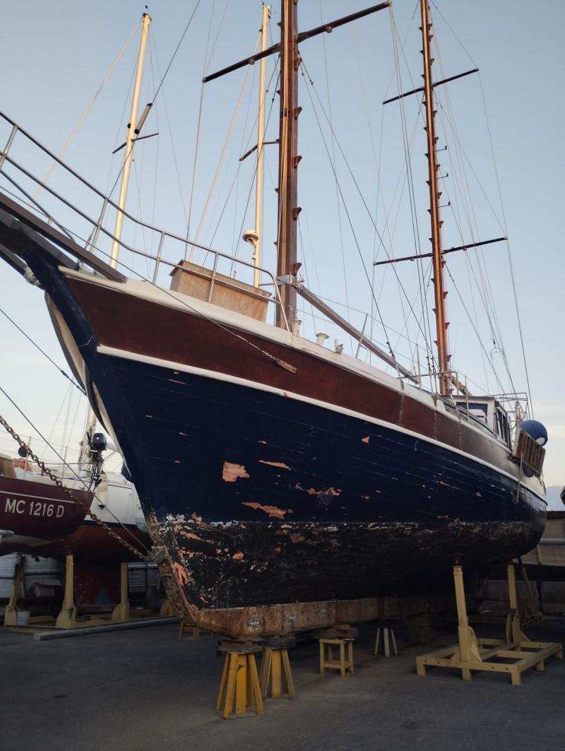 dorsun tosun Dorsun 16 mt