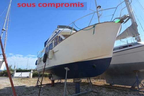  clipper 31