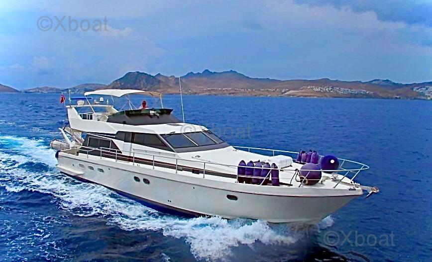 guy couach Guy couach 1601 fly