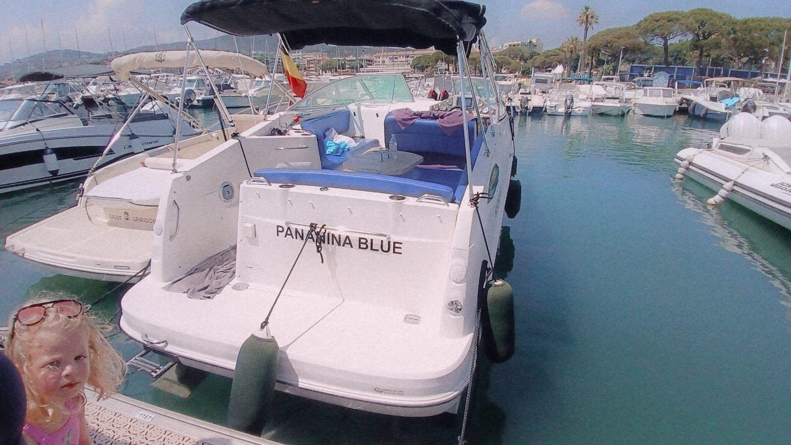 bayliner 255