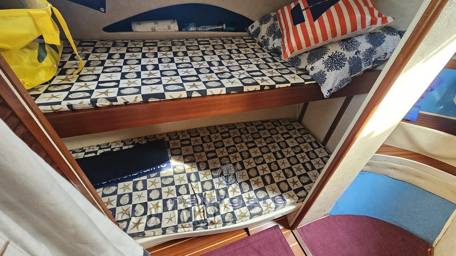 plastik Space 310 cruiser