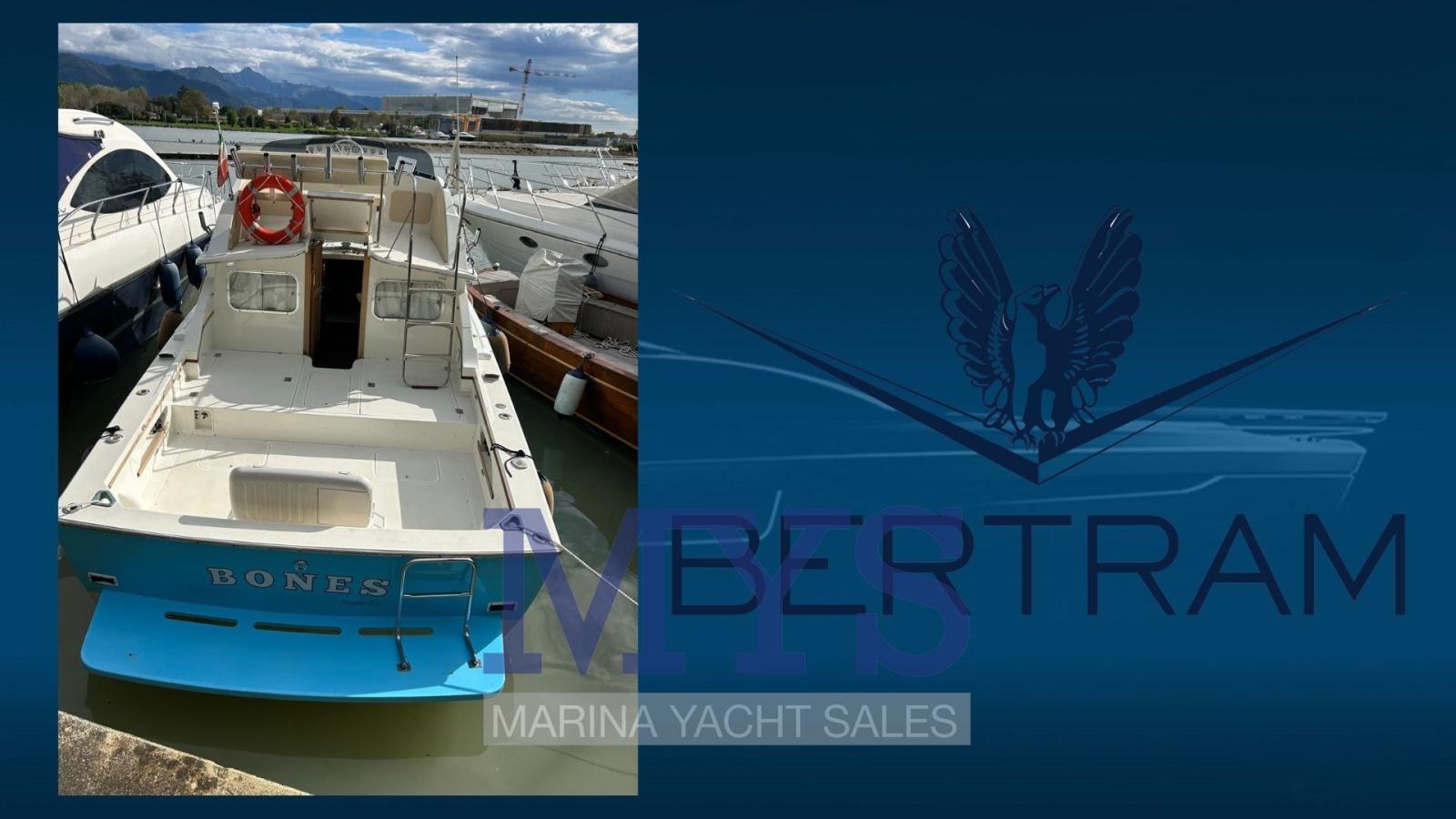 bertram yacht 28 fly