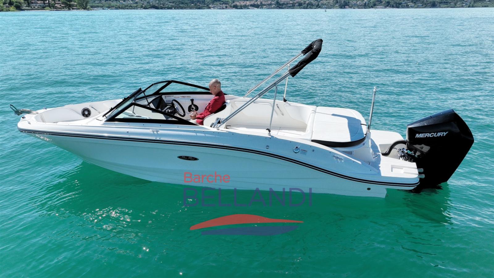 sea ray Spx 210 outboard