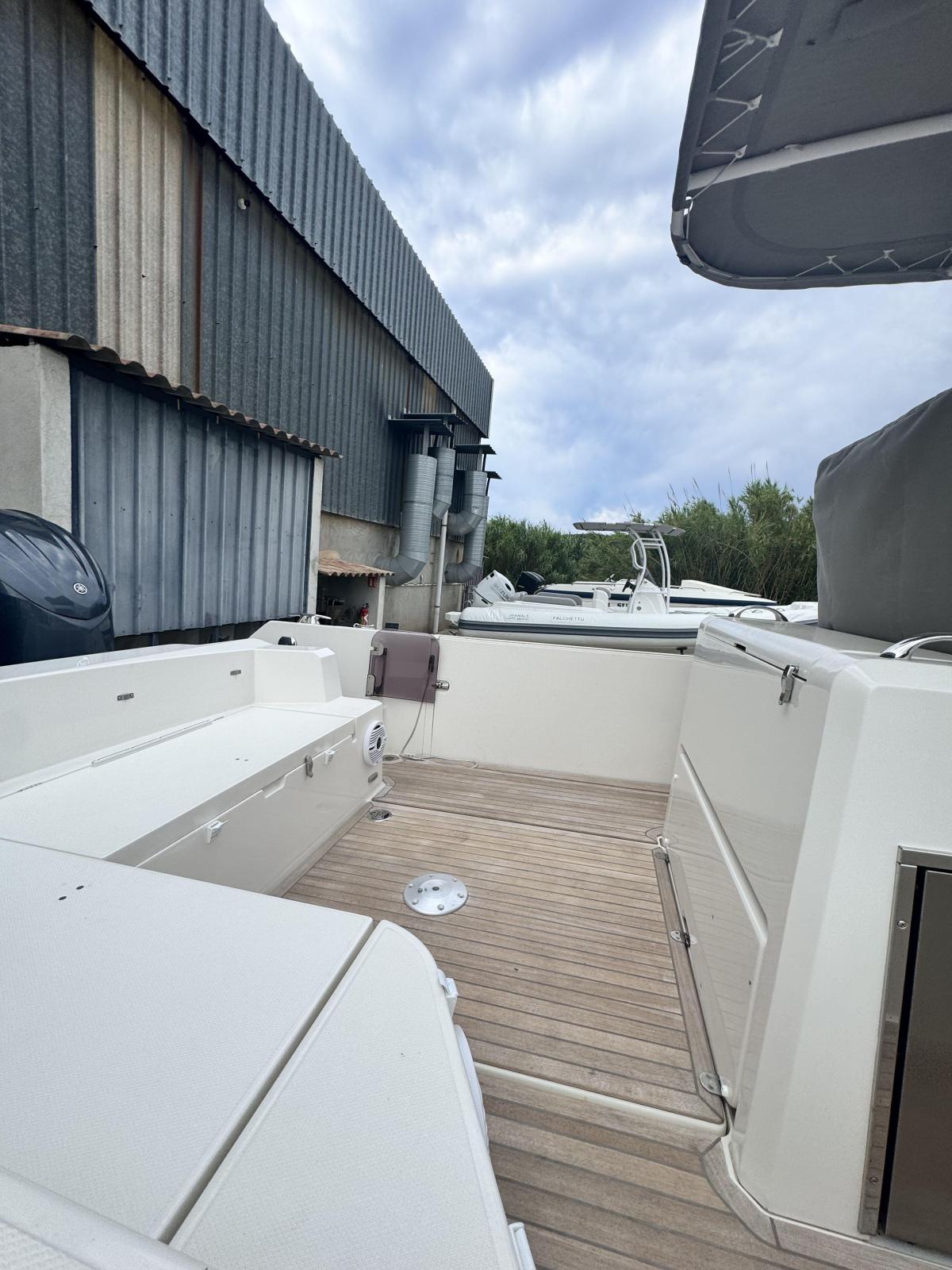 white shark 280 cc evo