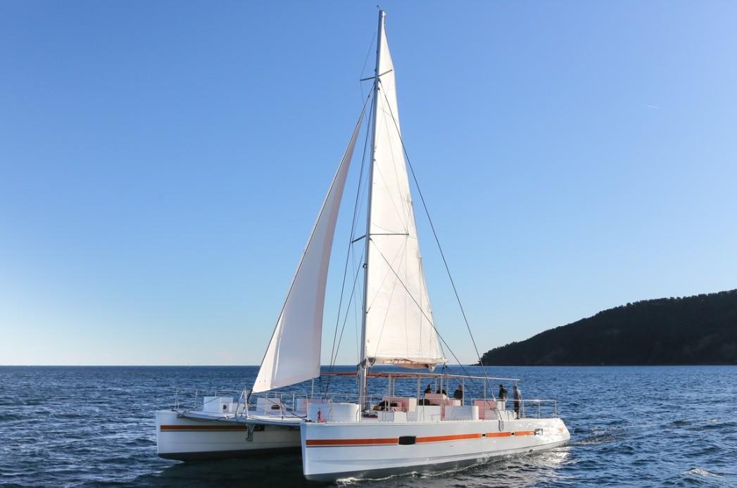 Catamaran Day charter model t