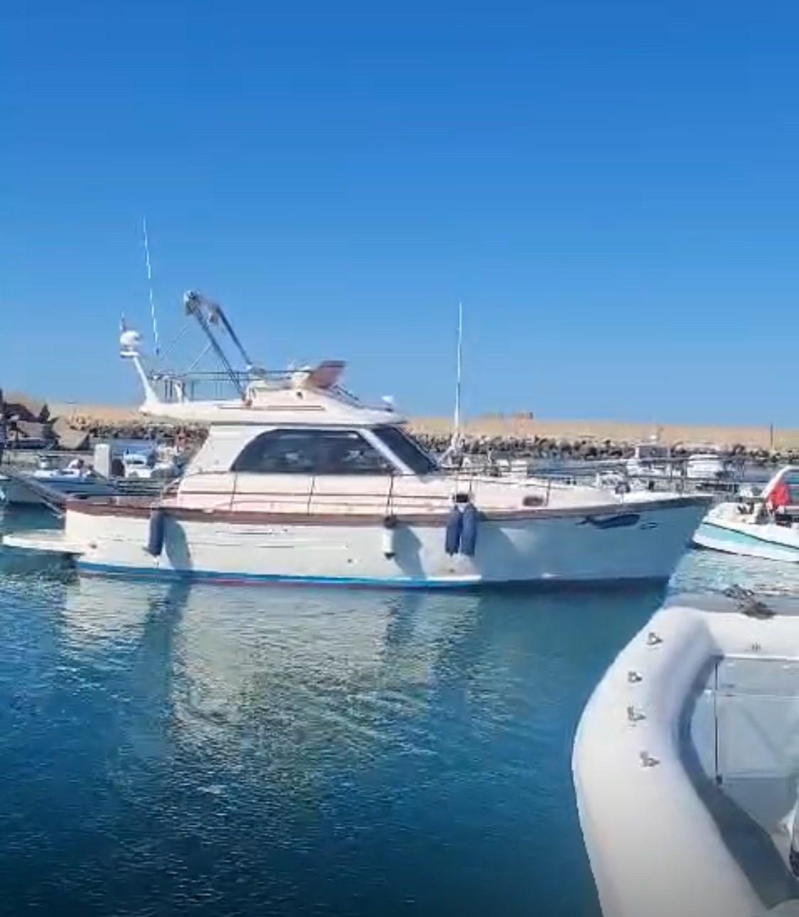 sciallino Sciallino 34' fly