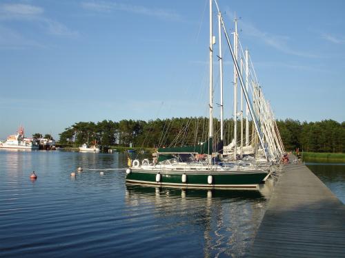 Conyplex contest 35s