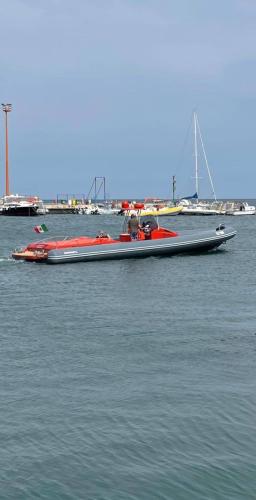 Darielyachts dariel 1200