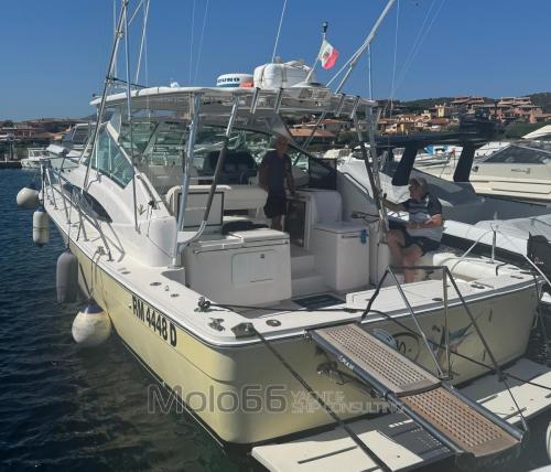 Bertram yacht 360 moppie