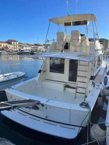 Bertram yacht 46.6 convertible