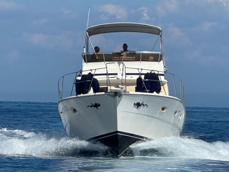 viking marin Viking 40