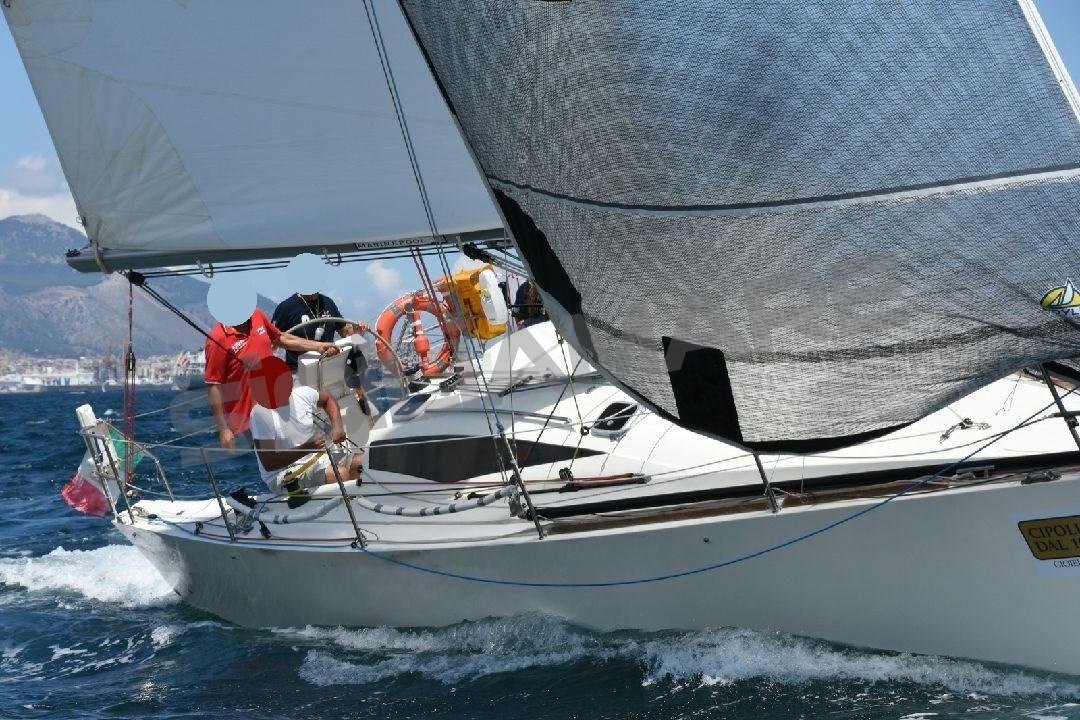 cobra yachts Cobra 33