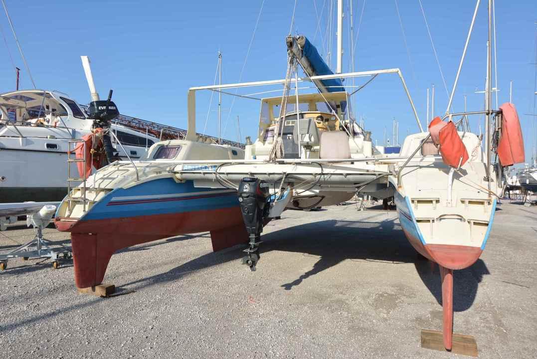 edelcat Edelcat 35
