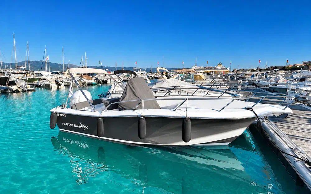 white shark White shark 226