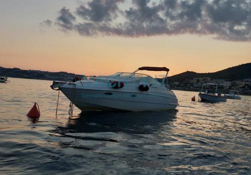 Chris craft 258 concept