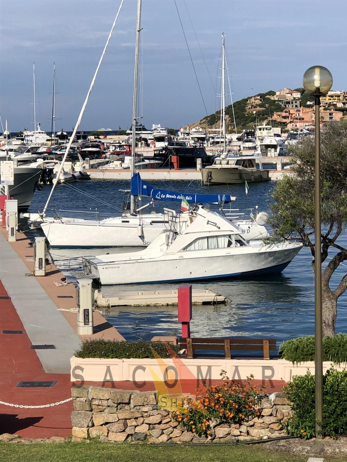 bertram yacht 26' sf