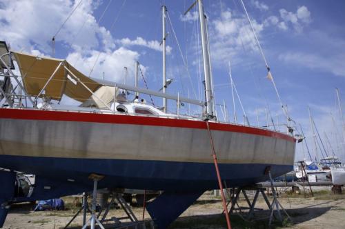  patago 39