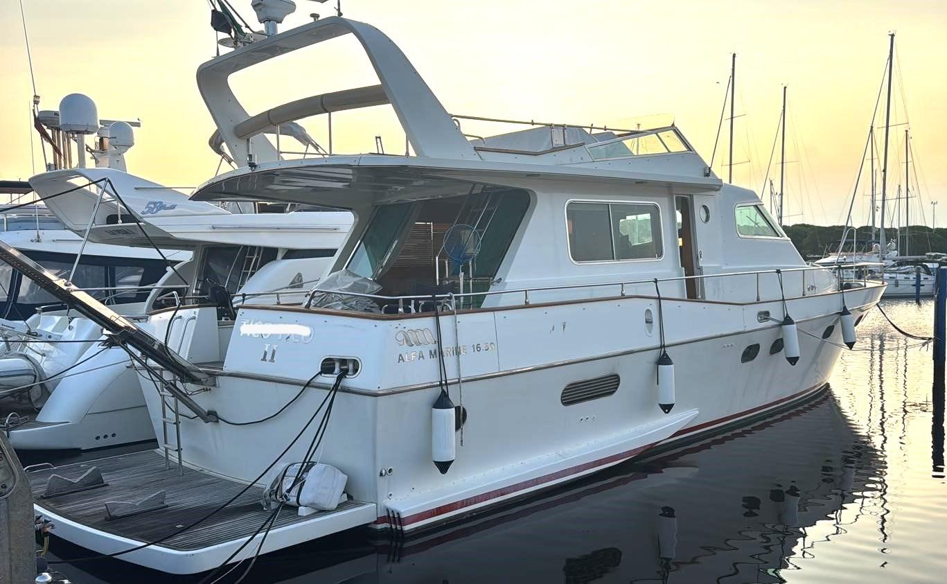 alfamarine Alfamarine 16,50 fly