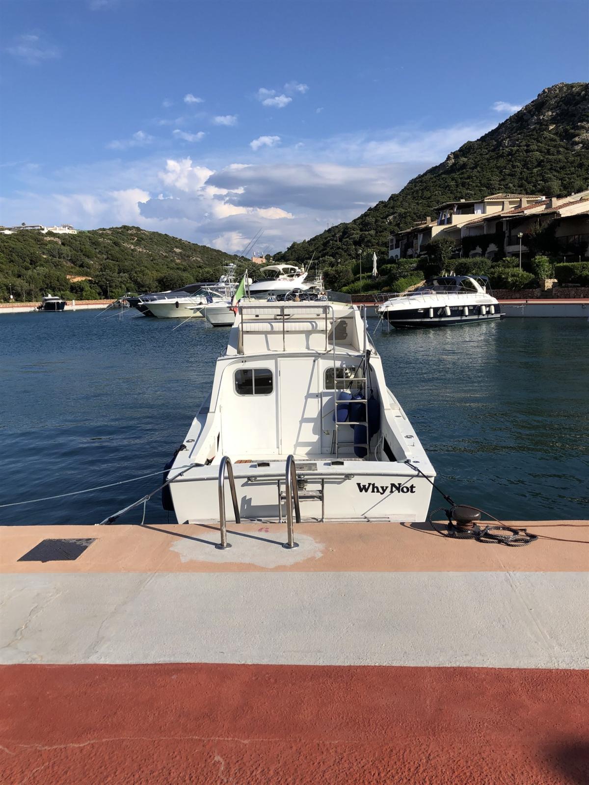 bertram yacht 26' sf