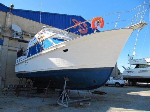 Island gipsy 40